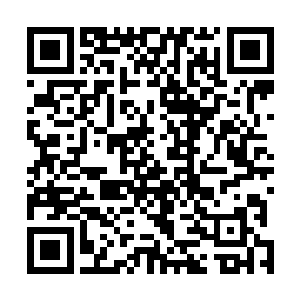 这些对于修者而言极度头疼麻烦的鬼将在云母战傀的眼里二维码生成