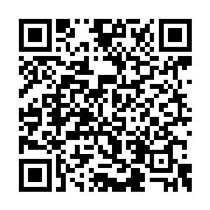 这些对于看管了生死和各种刑法的唐玥也没什么二维码生成