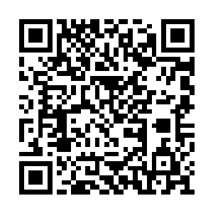 这些小型手电应该都是装在枪械导轨上的照明具二维码生成