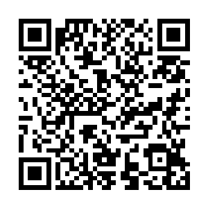 这些少年们却被妖道控制在手中逃脱不掉慢慢吸干了精血二维码生成