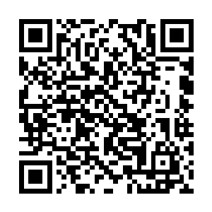 这些就是我们刘家最近屯积的一些高档翡翠原料了二维码生成