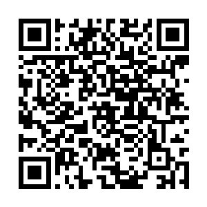 这些尸体身上的须臾带以及值钱的东西都被带走了二维码生成