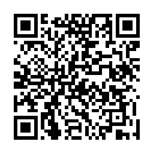 这些巨龙的感知似乎并没有受到神庙或者五色祭坛的影响二维码生成