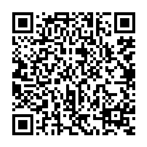 这些年一直对兰云曦关怀备至的太乙玄门的四大长老之一的竺芊芊二维码生成