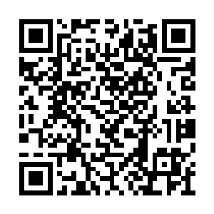 这些年军中的火药弹已经彻底的杀出诺大的名声二维码生成