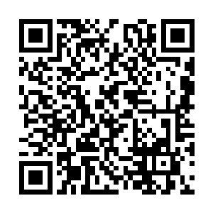 这些年我哪次去看他的时候都觉得这孩子营养过剩二维码生成