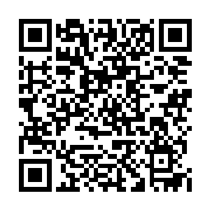 这些年杜克和华纳兄弟在市场抢走了太多的份额二维码生成