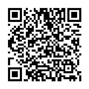 这些年自己的祖爷爷究竟承受了这么巨大的痛苦二维码生成