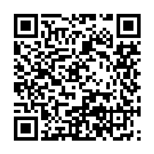 这些指决精准地找到了许紫烟界中极其稀少的破绽二维码生成