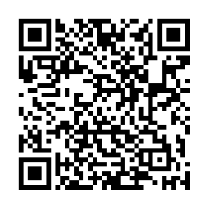 这些支离破碎的星辰之力竟然在半空中幻化为了一头狮子二维码生成