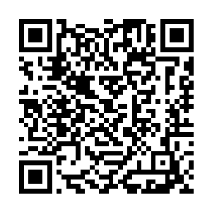这些日子一个个都没少往县令魏崇和县尉周凉府里跑二维码生成