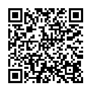 这些日子一直在四处查探修补完善凌霄宫的阵法二维码生成