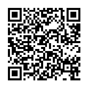 这些日子昊无不止一次想上去和自己的女儿相认二维码生成