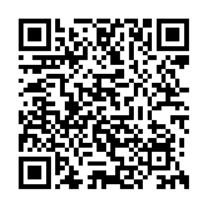 这些日子自家公子的举动他是越来越看不明白了二维码生成