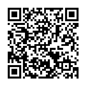 这些日子还经常念叨着要将华哥儿几个孩子接到西北来二维码生成