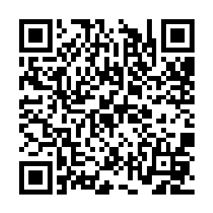 这些时间他们不仅仅是让自己的修为不断的提高了二维码生成