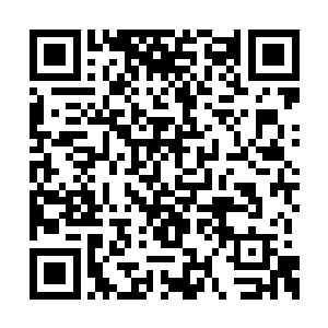 这些明明是西方神罗帝国才能拥有的飞行狮鹫兽二维码生成
