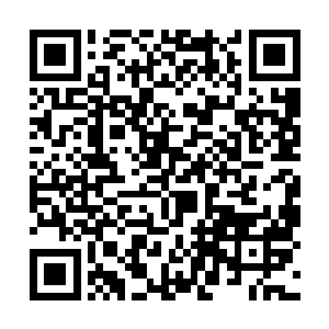 这些星域宗的守卫便只是感觉到周围yizhèn清风拂过二维码生成