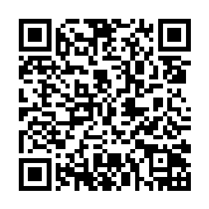 这些星盗却发现几乎每个货队都隶属于某个庞大势力二维码生成