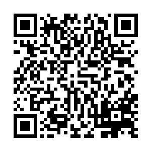 这些普通的保镖大多数确实都是刚刚被龙老板招到手下的二维码生成