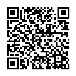 这些月精轮斩在了那些混沌兽和域外天魔的身上二维码生成