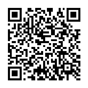 这些朱雀先前将力量都集中在了两位七变神王身上二维码生成