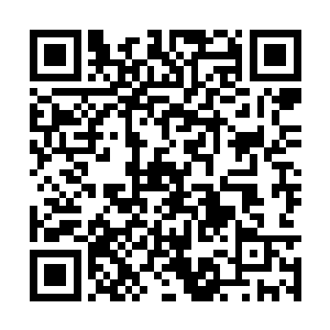 这些机器人洗劫过的地方简直比蝗虫过后还要恐怖二维码生成