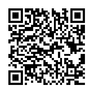 这些植物很可能具有吸收二氧化碳吐出氧气的作用二维码生成