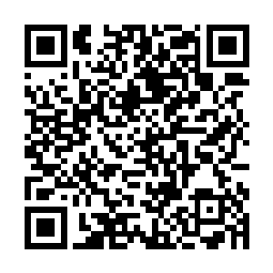 这些武器是夏天斩杀最后的ss级佣兵的时候收走的二维码生成