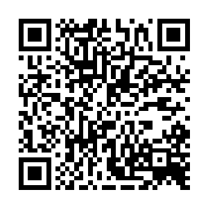 这些残留下来的气运和传承再过两三代也就是自动散去了二维码生成