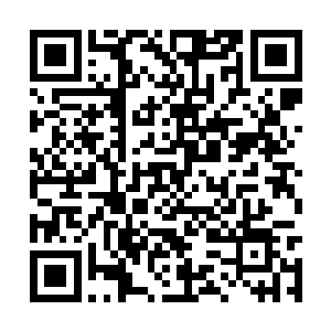 这些沉坠的小礼物似乎因她们的心而变得更具质量二维码生成