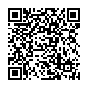 这些消息都是他之前从那些仙之殿的人身上得到的二维码生成