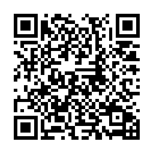 这些渔网是使用一种非常坚韧的金属丝编制而成的二维码生成