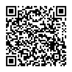 这些热血方刚的年轻人有太多的朋友或者亲人都是死在了魔化怪物二维码生成