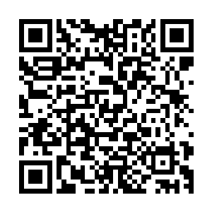 这些照片是受理第一次展览会盗窃案的侦查小组移交给我们的二维码生成