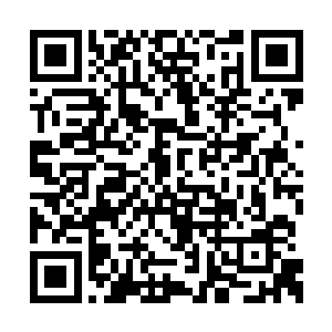 这些特别的虫子江帆都留着将来在符神界使用的二维码生成