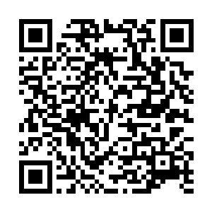 这些缅族武士正是东吁王朝最忠诚最勇武的精锐战士二维码生成