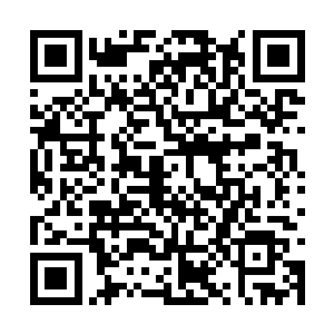 这些老牌的门派他们的手里到底掌握了多少资源啊二维码生成