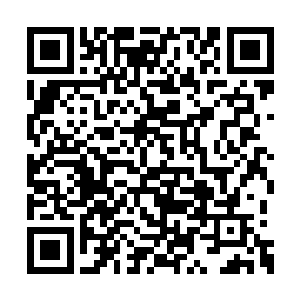 这些老电影在洪涛的记忆中占了很重要的一块儿二维码生成