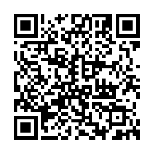 这些药材竟然能悄无声息的出现在自己的手里面二维码生成