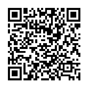 这些落下来的石头上……为何有一股很熟悉的气息二维码生成