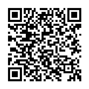 这些许家修士刚才一直处于自己的护罩保护之下二维码生成