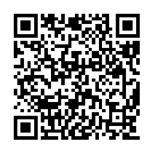 这些财富让绿草门走向巅峰是一点问题也没有的二维码生成