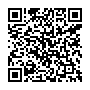 这些资料才从我资料库的隐藏文件之中显现出来二维码生成