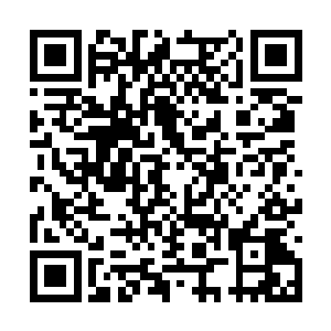 这些道路都是根据他们自身的条件所走的修炼之法二维码生成