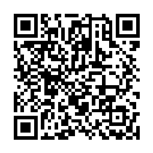 这些都是从自己的佣兵团与zero组织内高层退下来的部下战友二维码生成