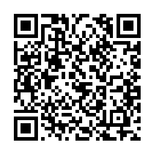 这些钱都是夏正阳那个倒霉蛋出的张智穷的叮当响二维码生成