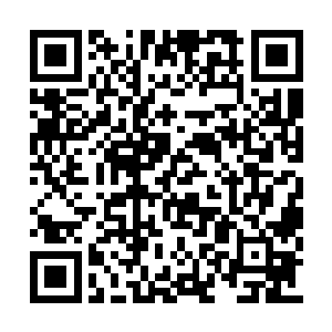 这些防护性装备都是用各种高阶危险生物的皮毛二维码生成