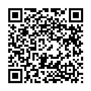 这些需要几个人去的任务只能几个人组织在一起才能接啊二维码生成