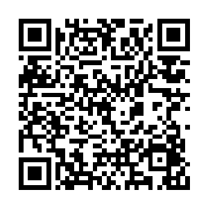 这些鬼物比起平原上的孤魂野鬼要明显高级得多二维码生成